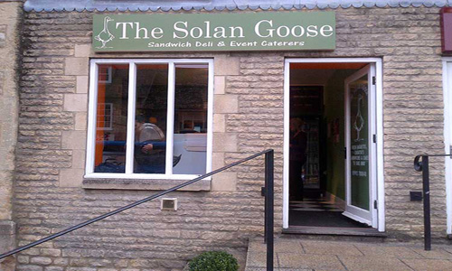 The Solan Goose